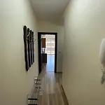 Hancho - - Marvel Apartment